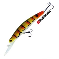 Robinson Goodie