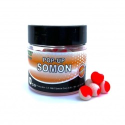 MG CARP POP-UP Somon 8 mm