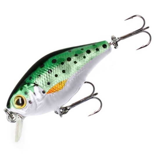 Mikado Bold Head Mikado Bold Head