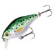 Mikado Bold Head Mikado Bold Head