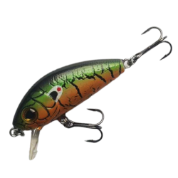 Robinson Fluppy