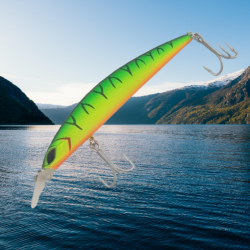Robinson Squinter