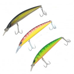Robinson Squinter
