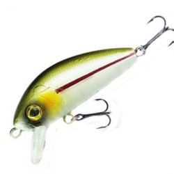 Robinson Fluppy