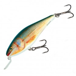 Salmo Executor 7 SR