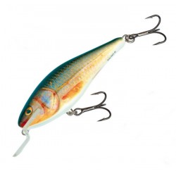 Salmo Executor 7 SR