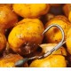 Варен тигров фъстък Madix Baits Варен тигров фъстък Madix Baits