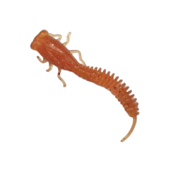 Fanatik X-Larva 3.0