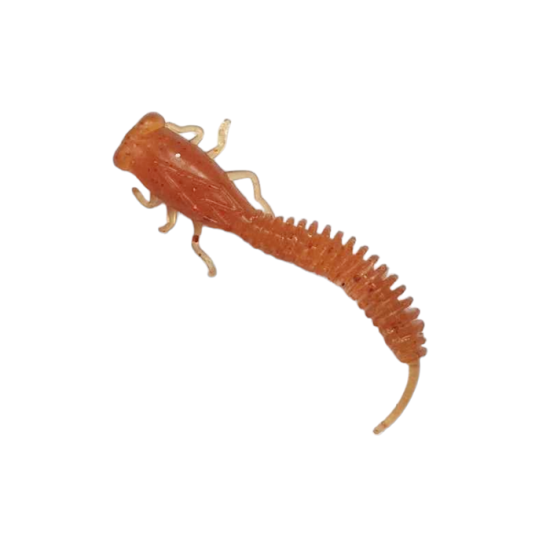 Fanatik X-Larva 4.0 Fanatik X-Larva 4.0