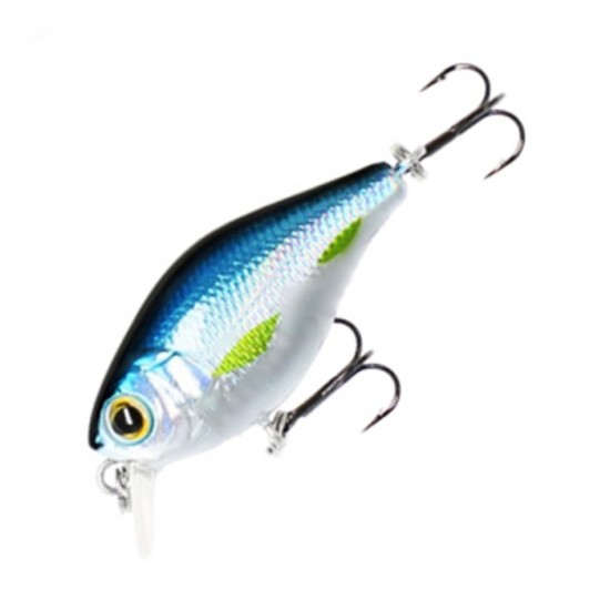 Mikado Bold Head Mikado Bold Head