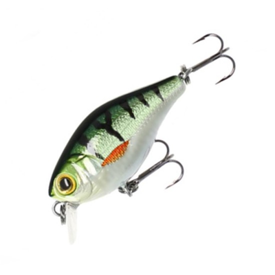 Mikado Bold Head Mikado Bold Head