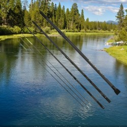 Pokee Black Panter Feeder/3.60m