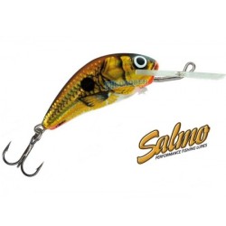 Salmo Hornet Uv Gold Shiner-3см