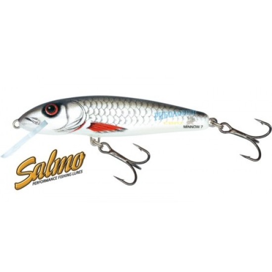 Salmo Minnow Dace / 5 Salmo Minnow Dace / 5