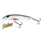 Salmo Minnow Dace / 5 Salmo Minnow Dace / 5