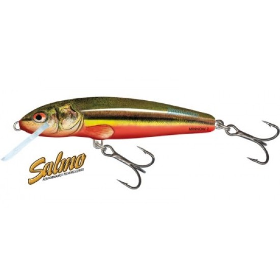 Salmo Minnow Rainbow Dace / 6 Salmo Minnow Rainbow Dace / 6