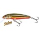 Salmo Minnow Rainbow Dace / 6 Salmo Minnow Rainbow Dace / 6