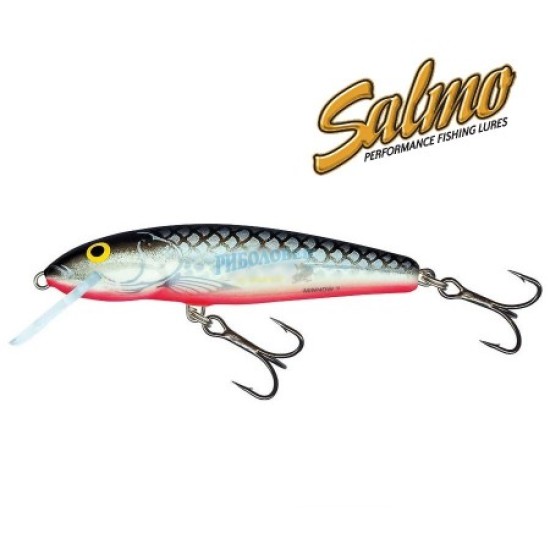 Salmo Minnow Rainbow Dace / 6 Salmo Minnow Rainbow Dace / 6