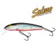 Salmo Minnow Rainbow Dace / 6 Salmo Minnow Rainbow Dace / 6