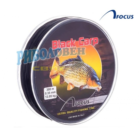 Black Carp Focus 0.35mm/300m