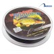 Black Carp Focus 0.35mm/300m