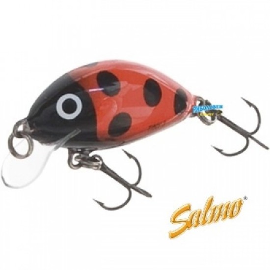 Salmo Tiny Ladybird /3 Salmo Tiny Ladybird /3